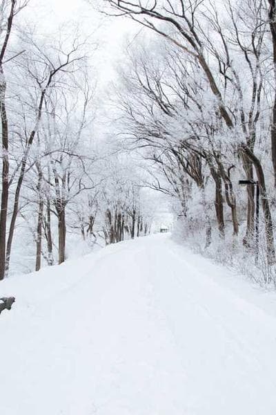 গণপ্রজাতন্ত্রী বাংলাদেশের সংবিধান