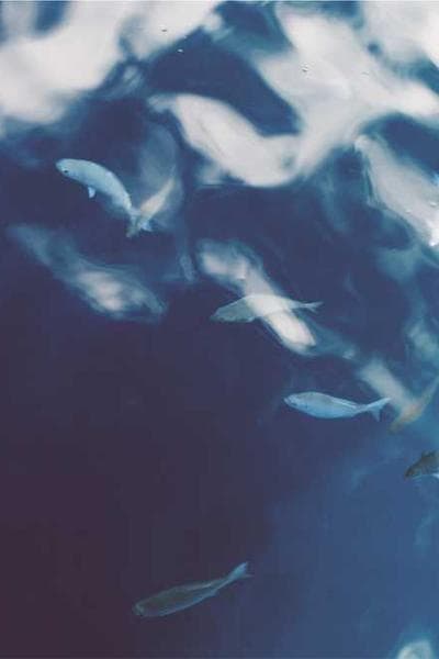 ভোক্তা হিসেবে আপনার অধিকার